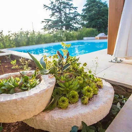 Villa Beautiful San Biagio Star & San Biagio Heart Poreč